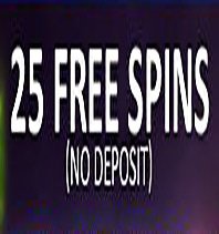 25 Free Spins Bonus Vouchers bonus vouchers